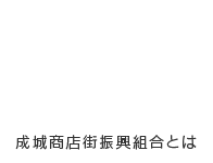 成城商店街振興組合とは