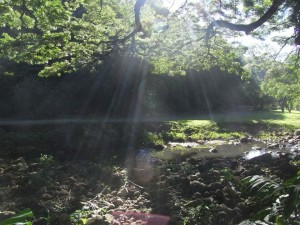 IMG_0863